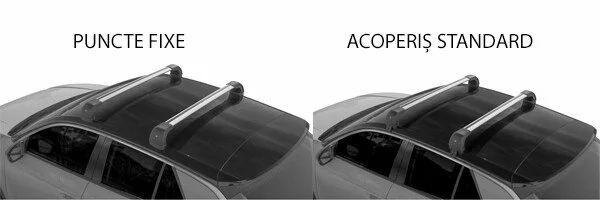 Set complet bare portbagaj Silenzio CX - Origine RF