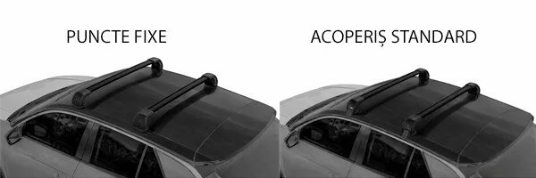 Set complet bare portbagaj Silenzio CX Black - Origine RF