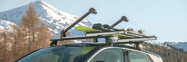 Suporti schiuri Nordrive