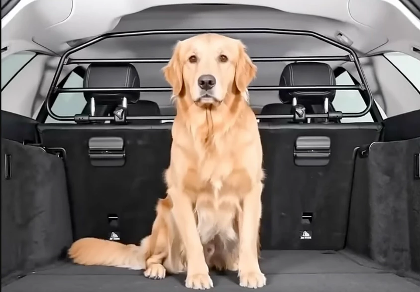 Separatoare auto pentru câini și bagaje – grilaje Premium-Guard pentru siguranță maximă