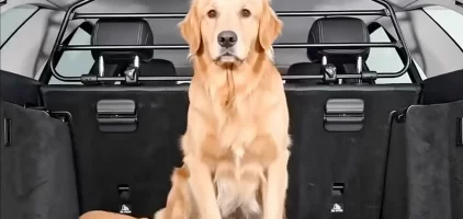 Separatoare auto pentru câini și bagaje – grilaje Premium-Guard pentru siguranță maximă