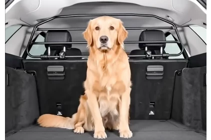 Separatoare auto pentru câini și bagaje – grilaje Premium-Guard pentru siguranță maximă